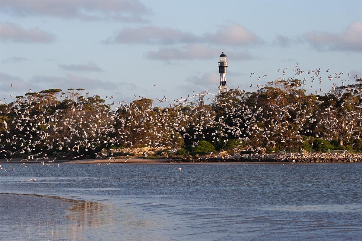 Punta Rasa y Faro San Antonio