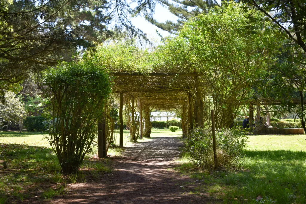 Vivero Cosme Argerich - Bosque en San Clemente